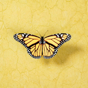 男生女人在床上操鸡视频中国板
