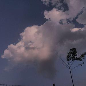 男生女人在床上操鸡视频中国板
