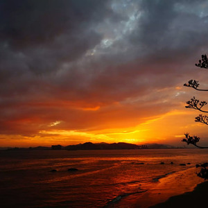 男生女人在床上操鸡视频中国板
